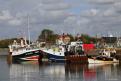 2017 1301 - (Honfleur) Chalut sur la Morelle