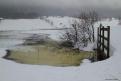 2012 0023 - (Bellefontaine) Le lac des Mortes - Glace... vanille sous l'eau !