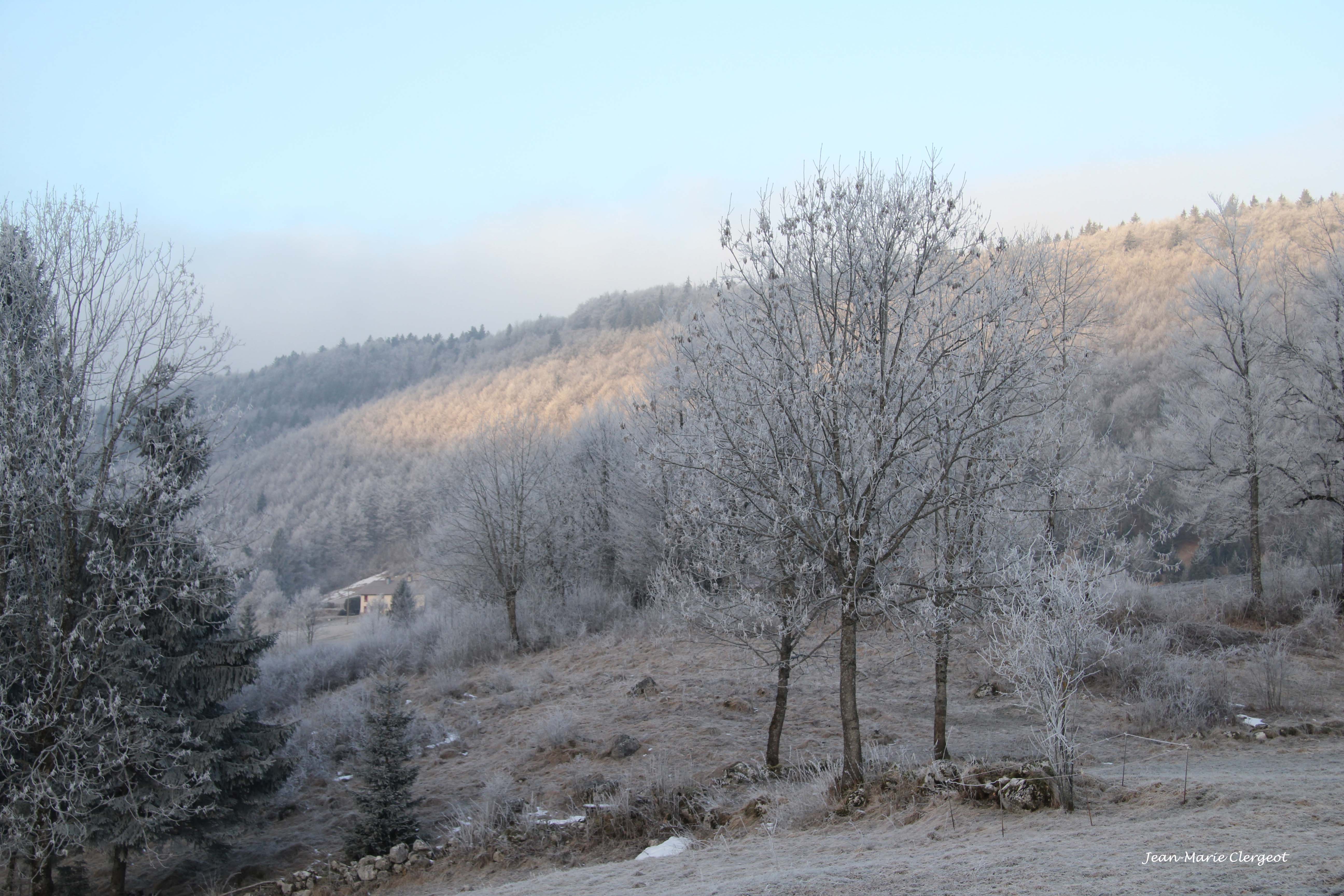 2011 0036 - (Bellefontaine) Matin d'hiver givré