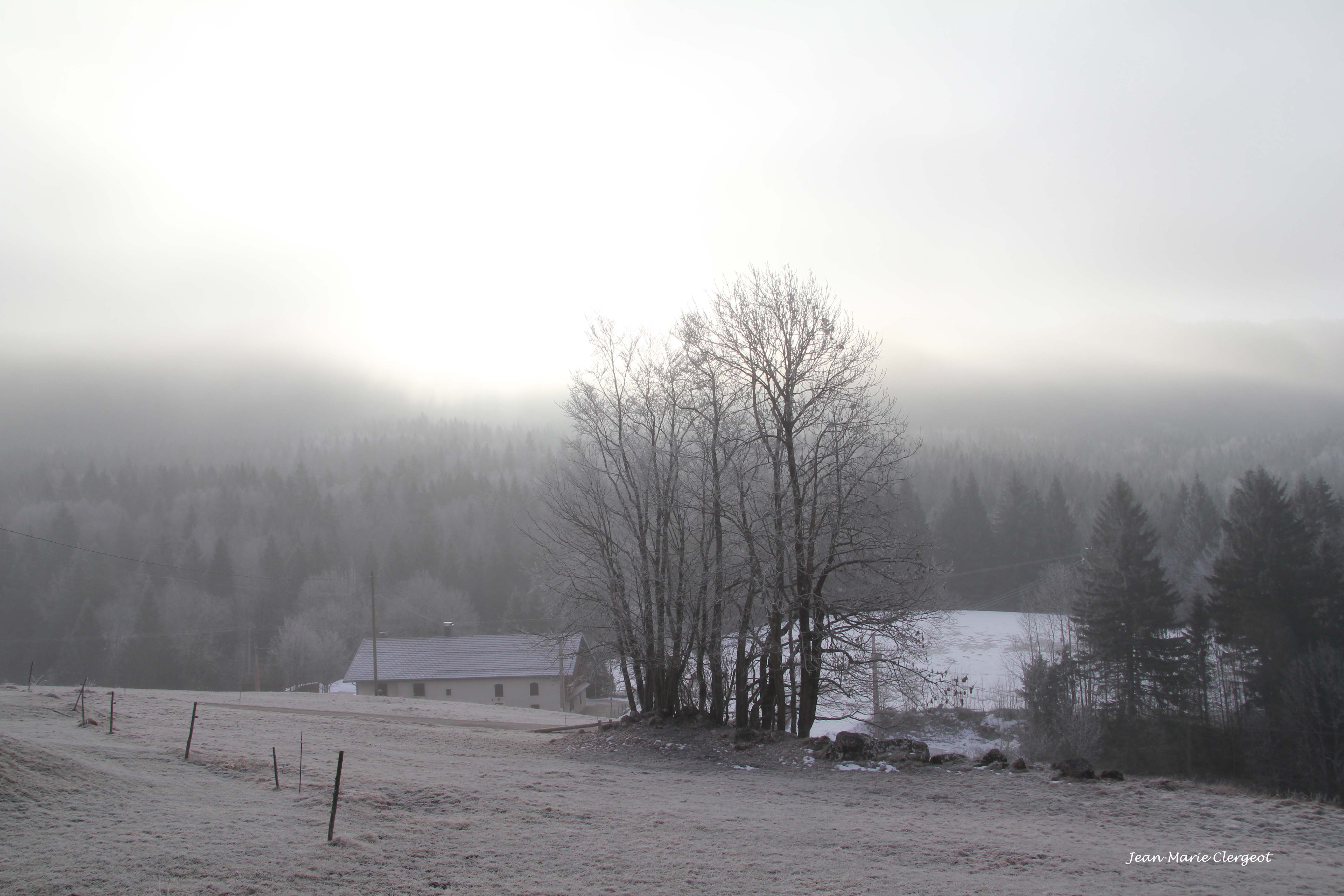 2011 0040 - (Bellefontaine) Matin d'hiver givré