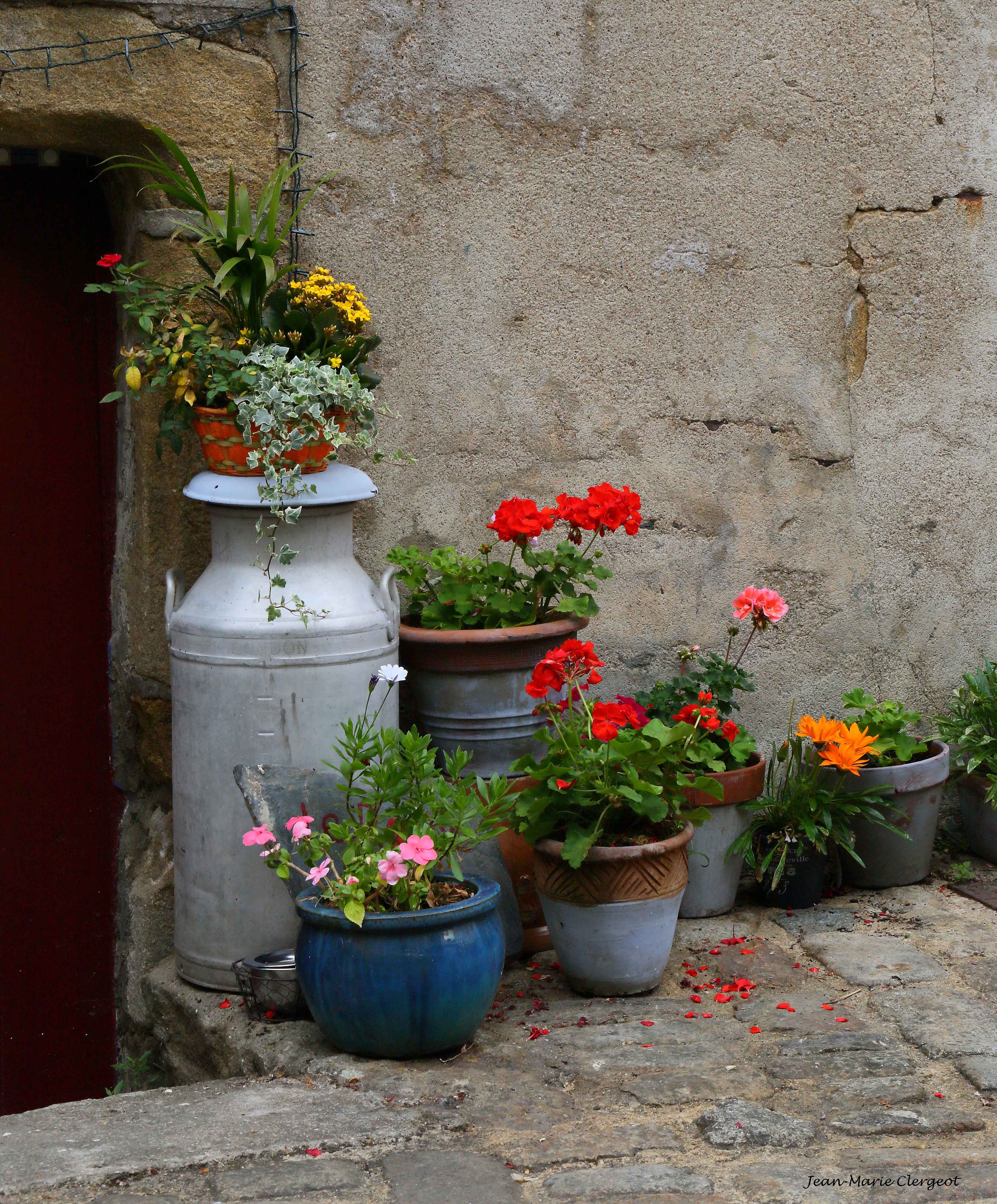 2016 1209 - (Rochefort en terre) Fleurs en pot rue Haute Candre