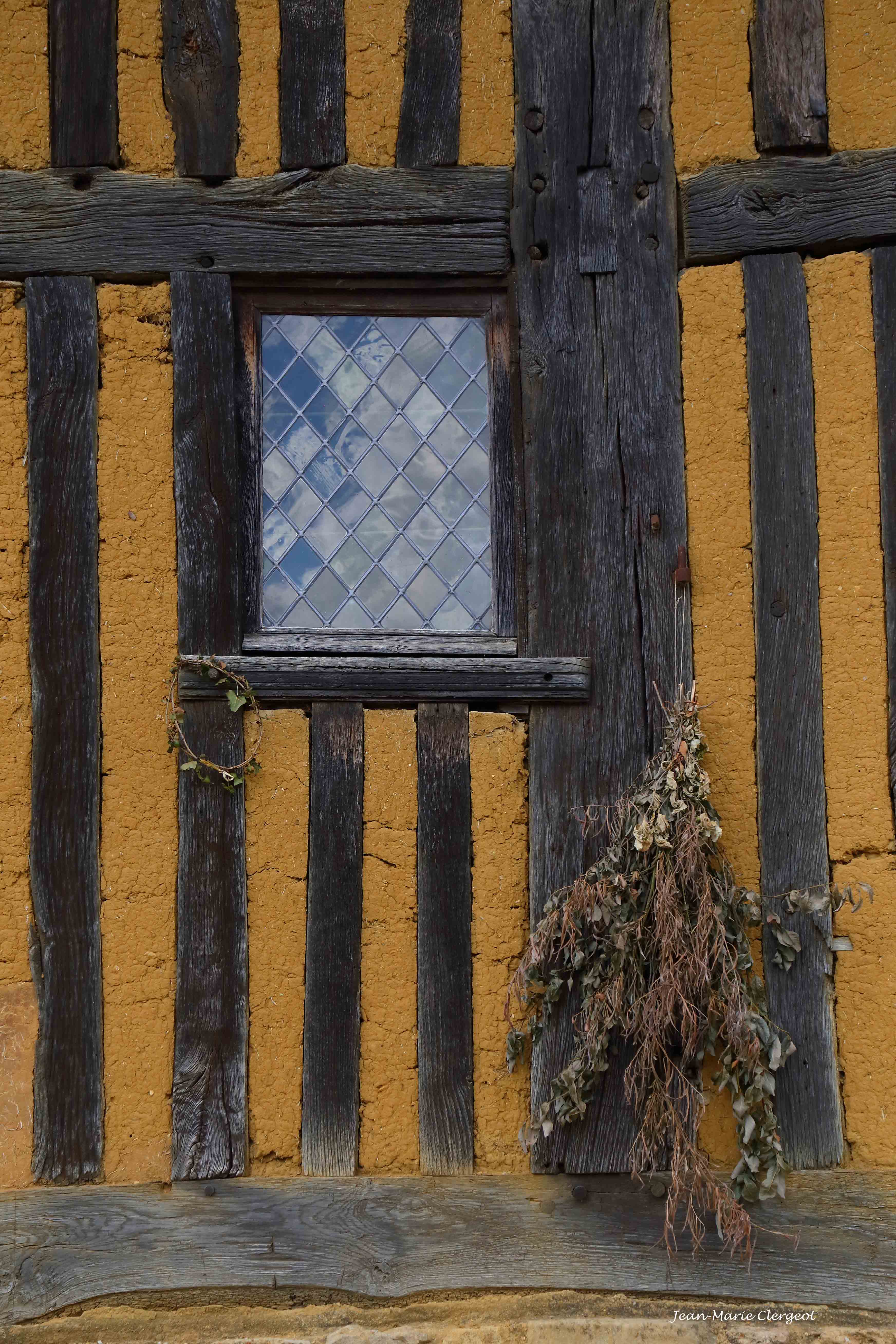 2017 0968 - (Crèvecoeur-en-Auge) Fenêtre aux fleurs séchées