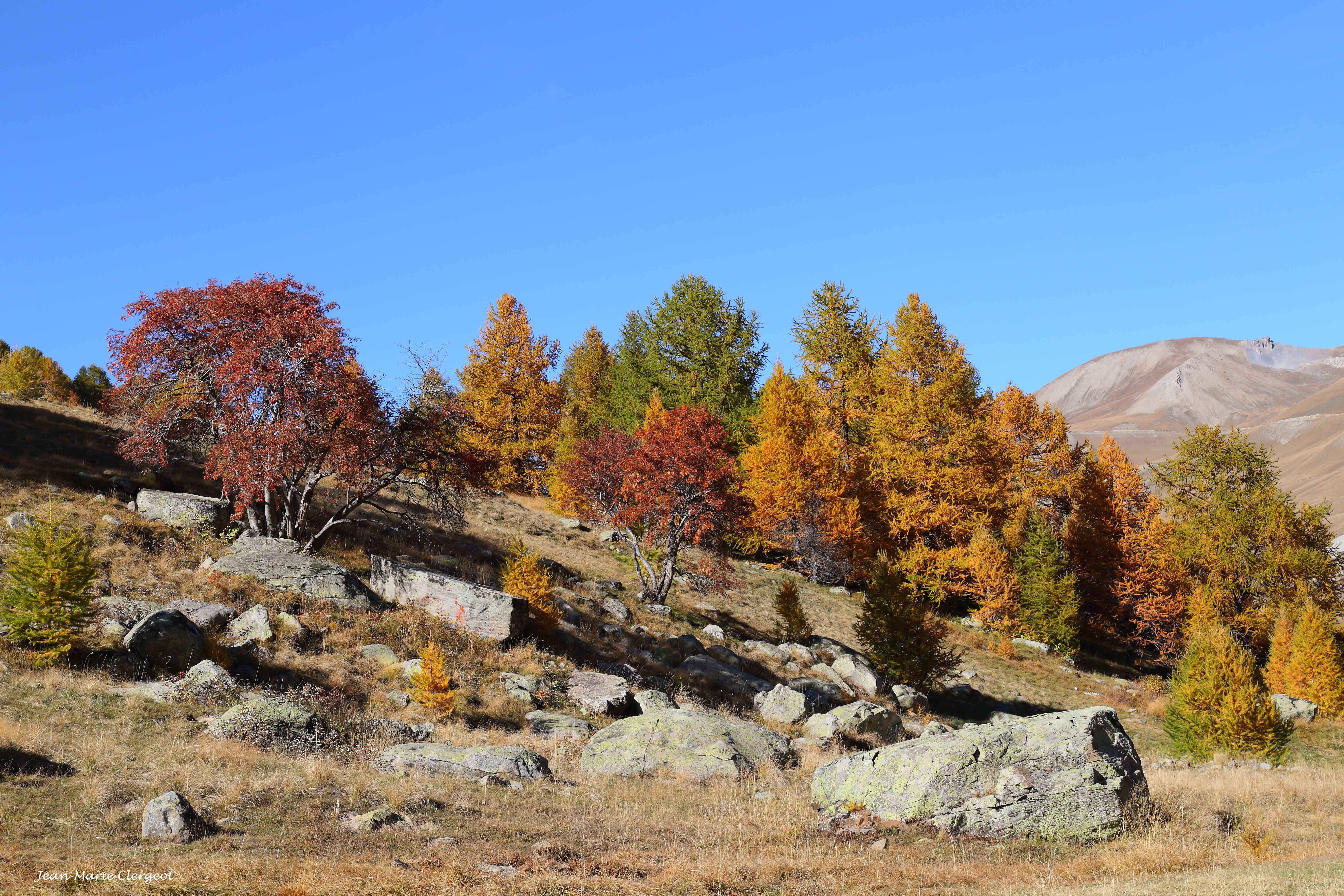 2018 1417 - (Larche) Vallée du Lauzanier - Harmonie de couleurs dans le vallon de l'Ubayette