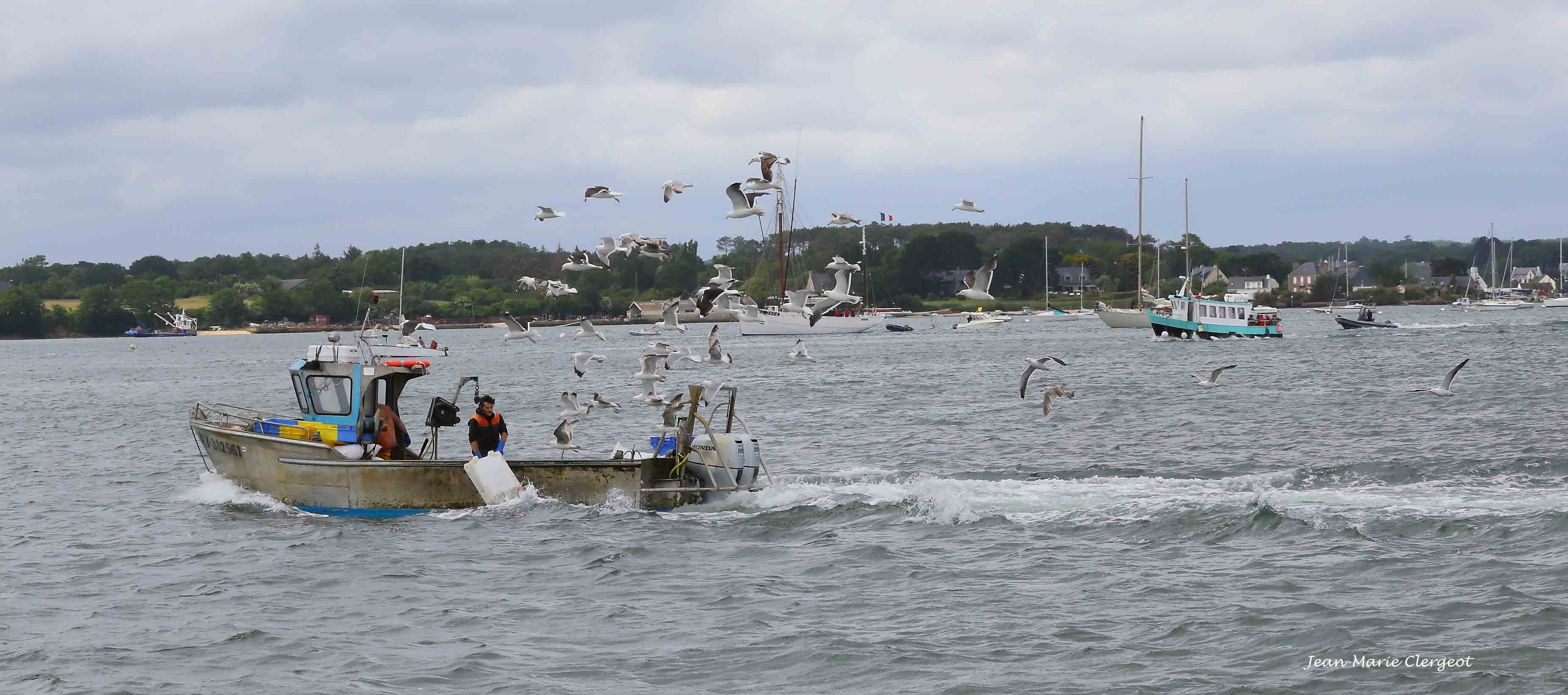 2019 0564 - (Arzon) Retour de pêche