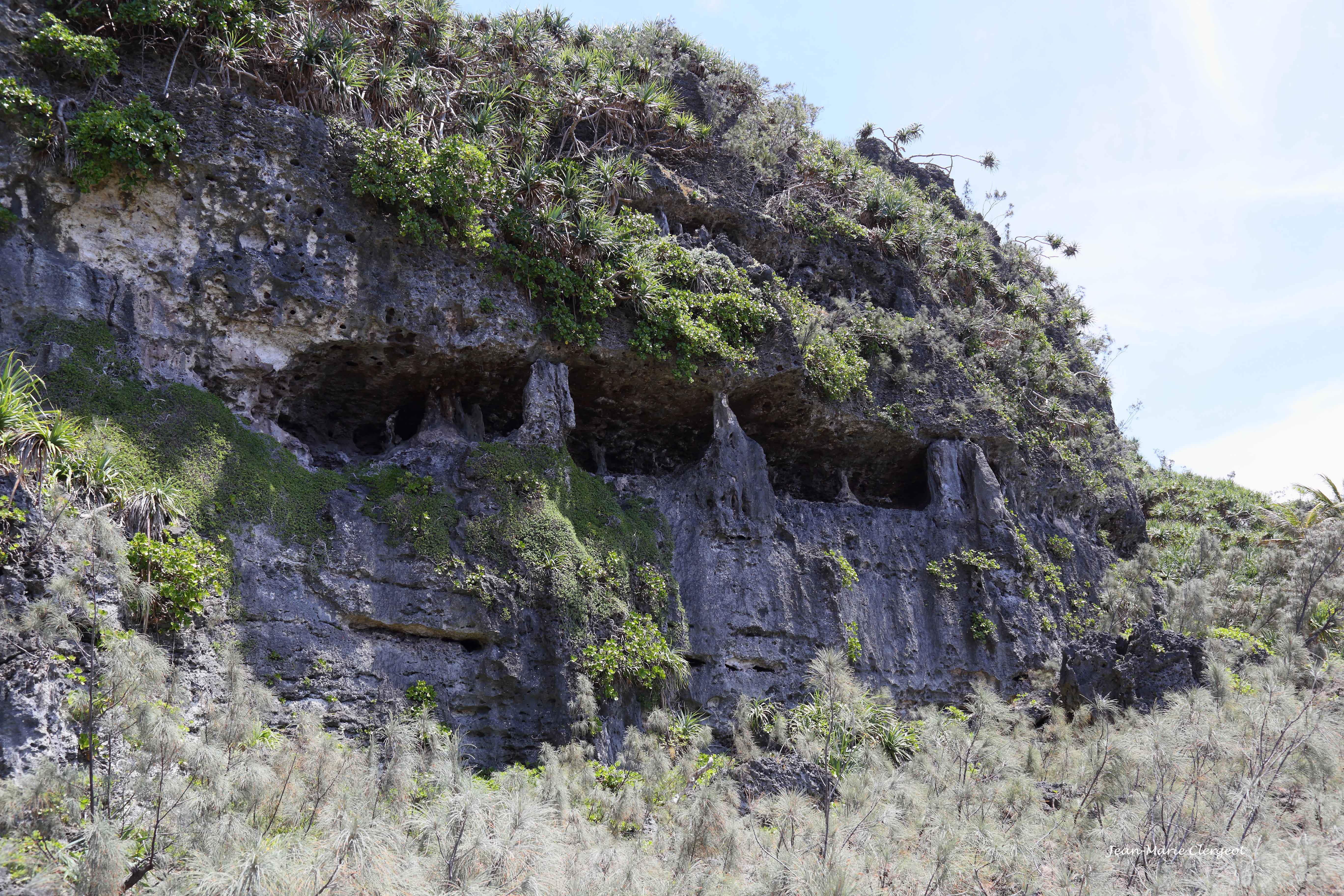 2019 0983 - (Lifou) Xodre - Grottes sur le sentier de la légende