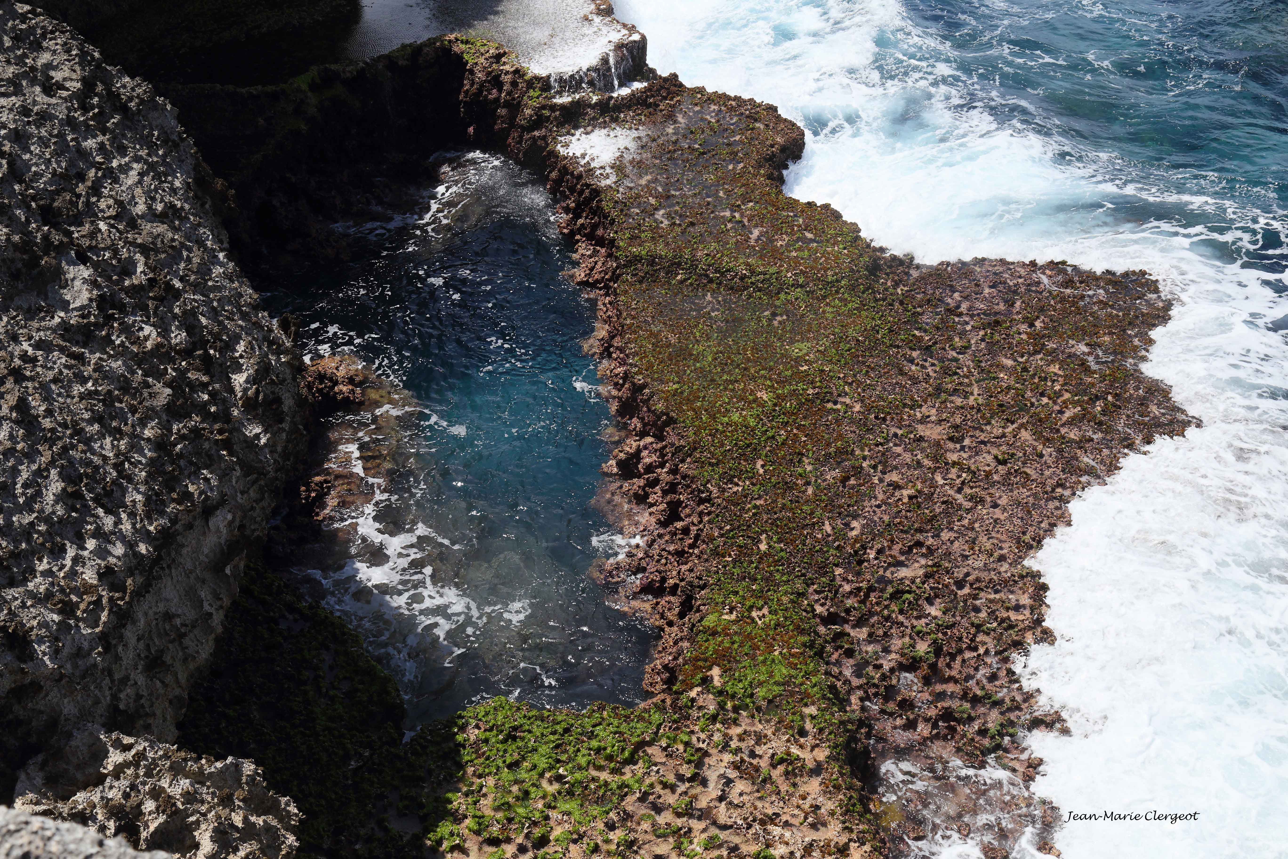 2019 1037 - (Lifou) Piscine naturelle dans les falaises de Xodre