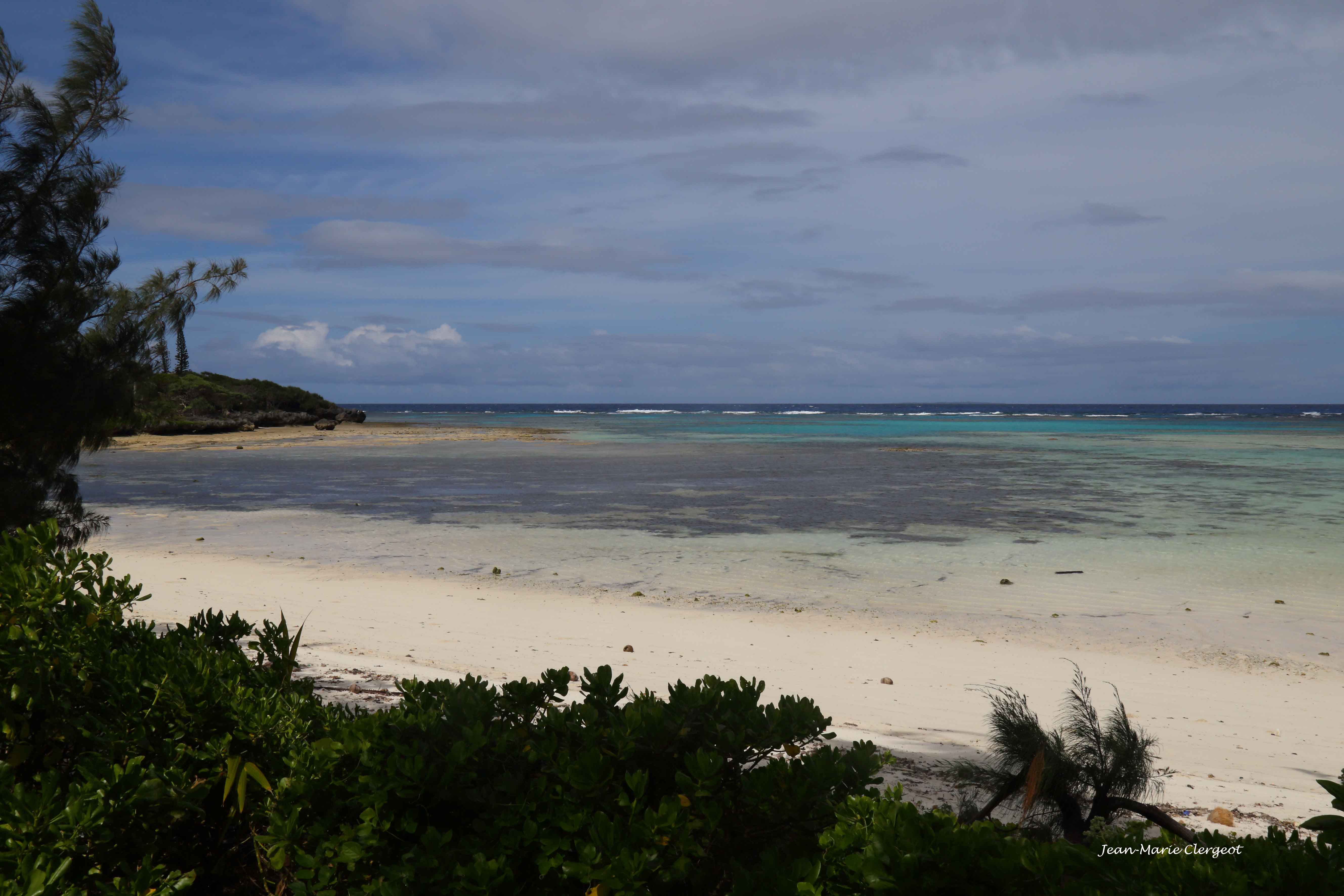 2019 1042 - (Lifou) Plage de Mou