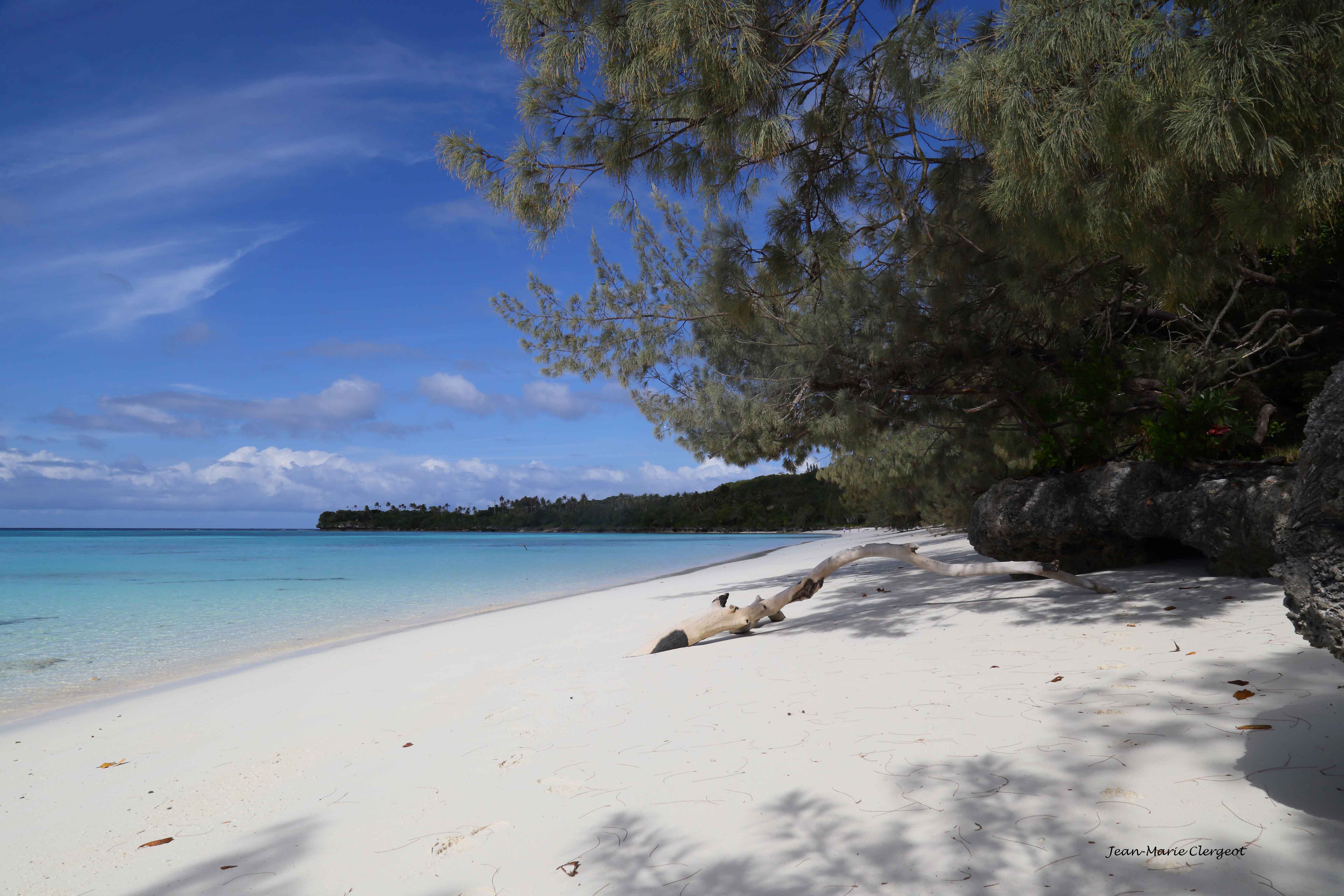 2019 1047 - (Lifou) Plage de Luengonï