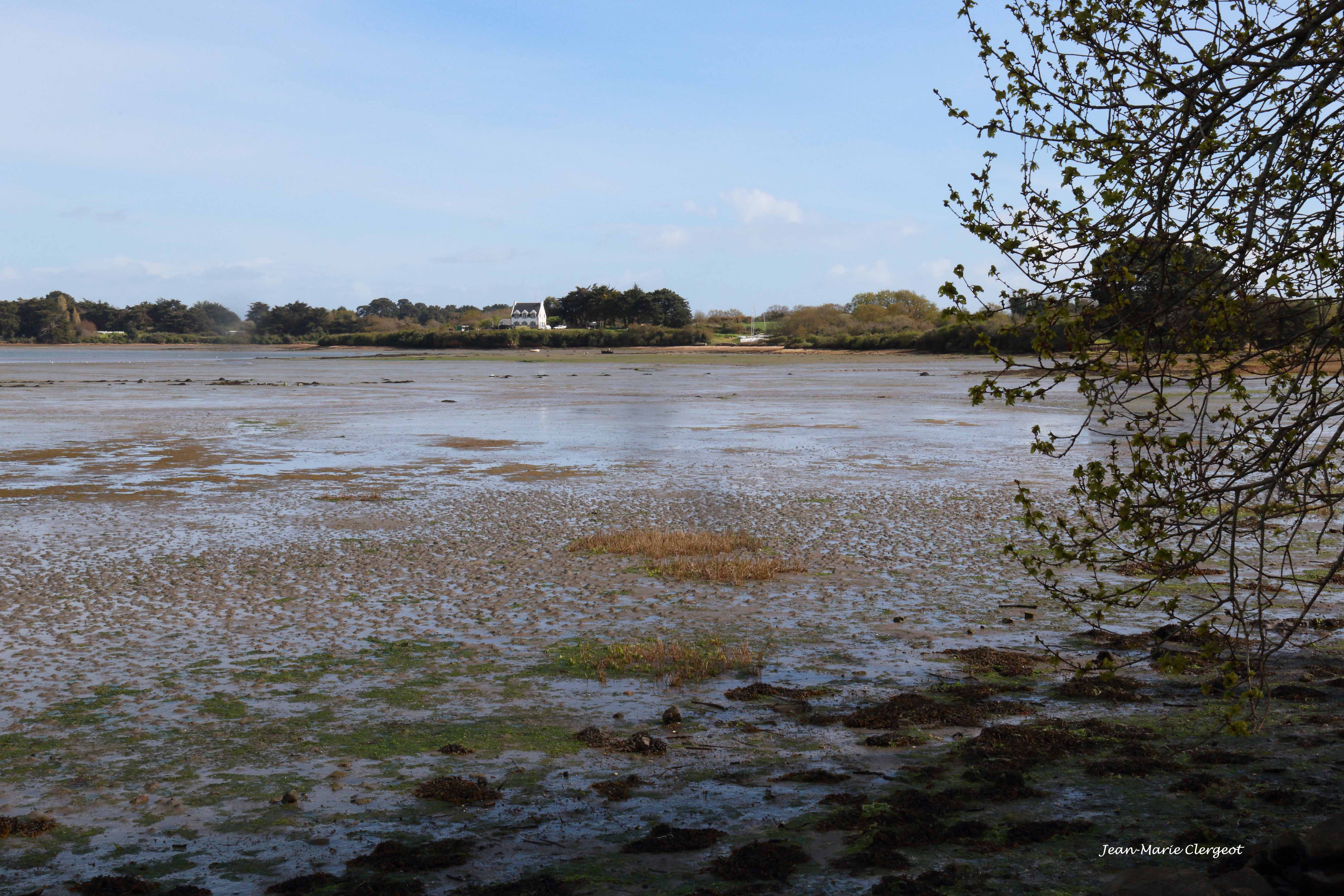 2023 0249 - (Porh Nèze) Golfe Le Poul à marée basse