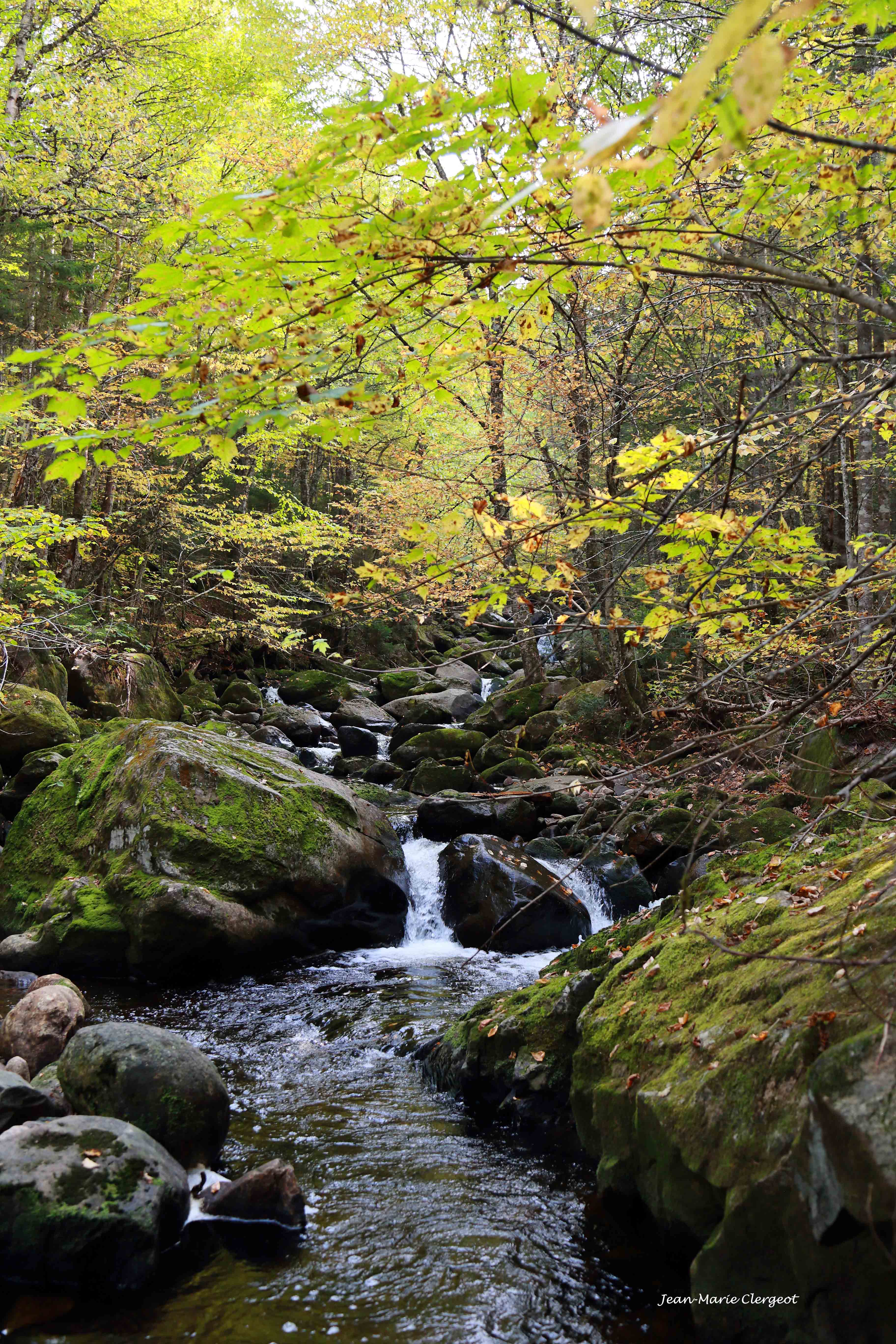 2023 0974 - (Parc de la Jacques Cartier) Petite rivière adjacente sur le chemin des draveurs