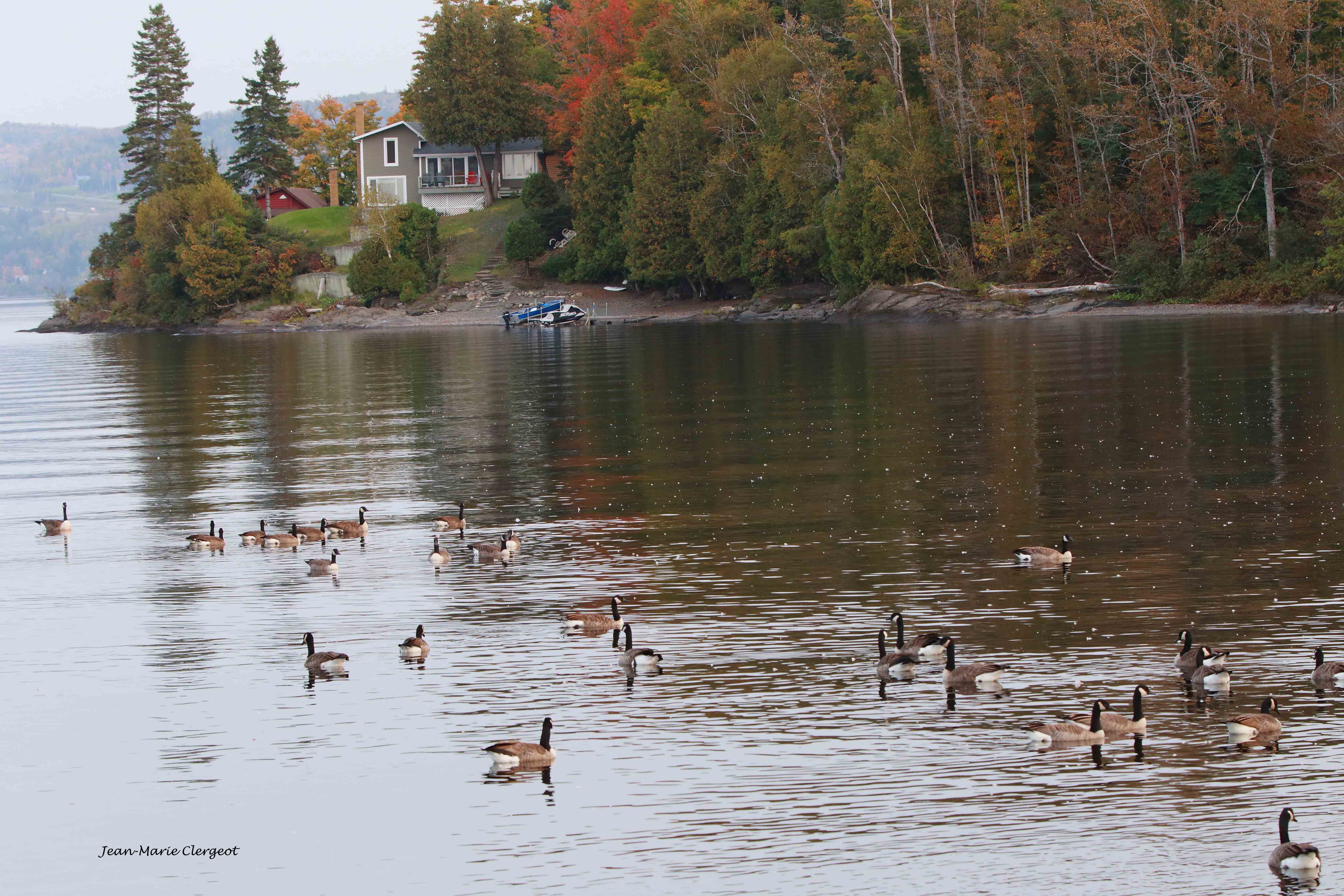 2023 1018 - (Notre-Dame-du-Lac) Maison au bord du lac Temiscouata