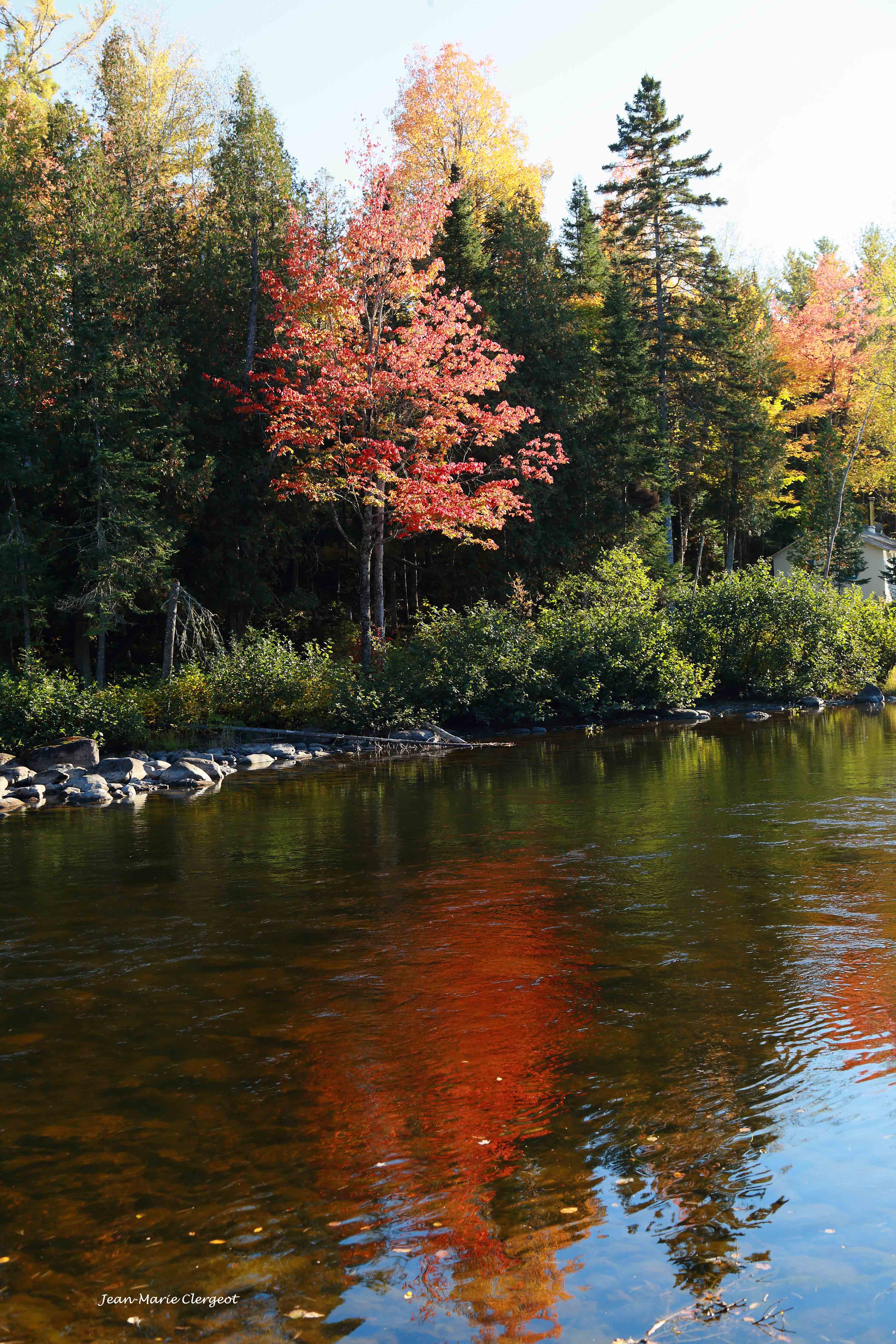 2023 1078 - (Parc Temiscouata) Au bord de la Rivière des Mémoires