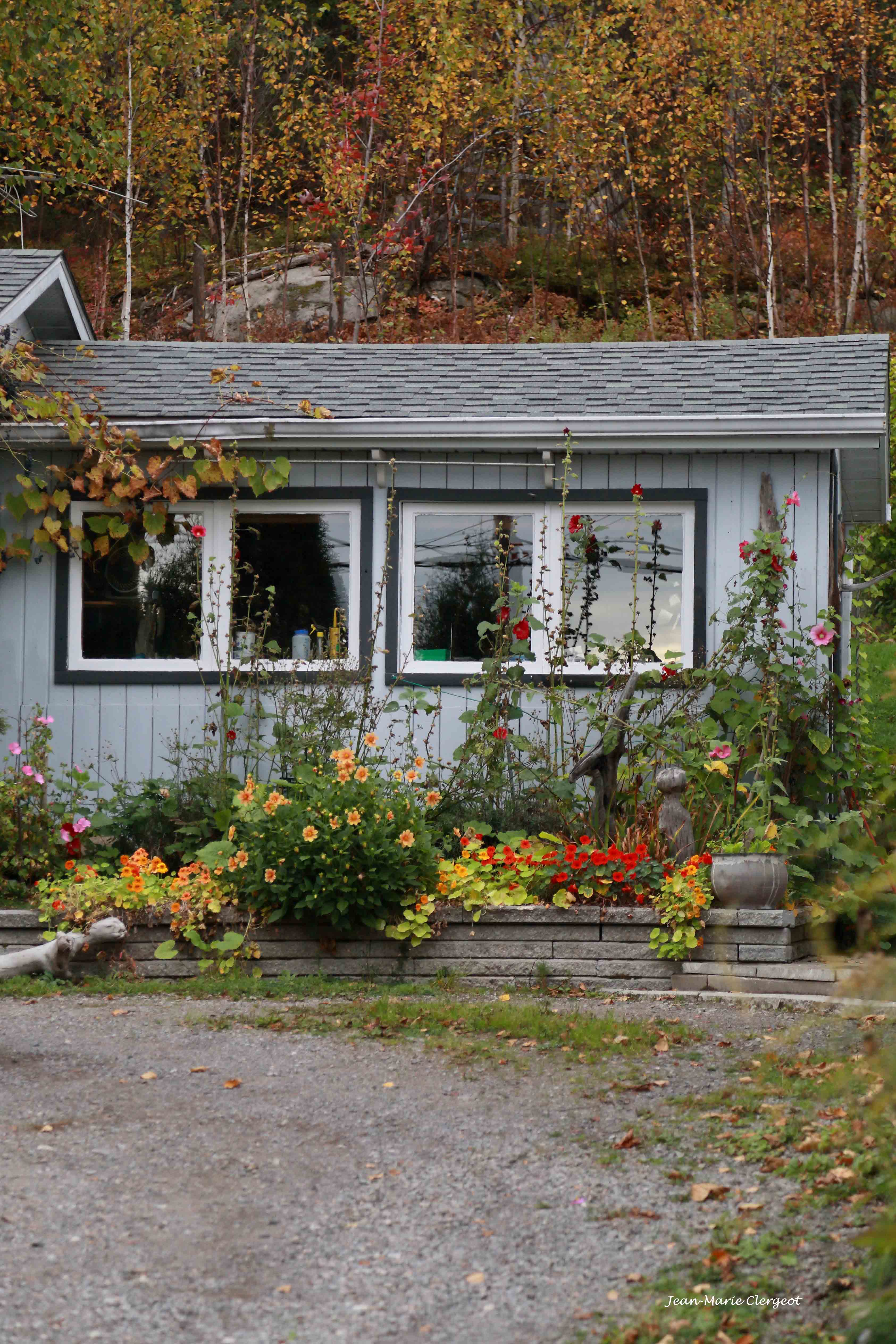 2023 1276 - (Saguenay - Laterrière) Maison fleurie