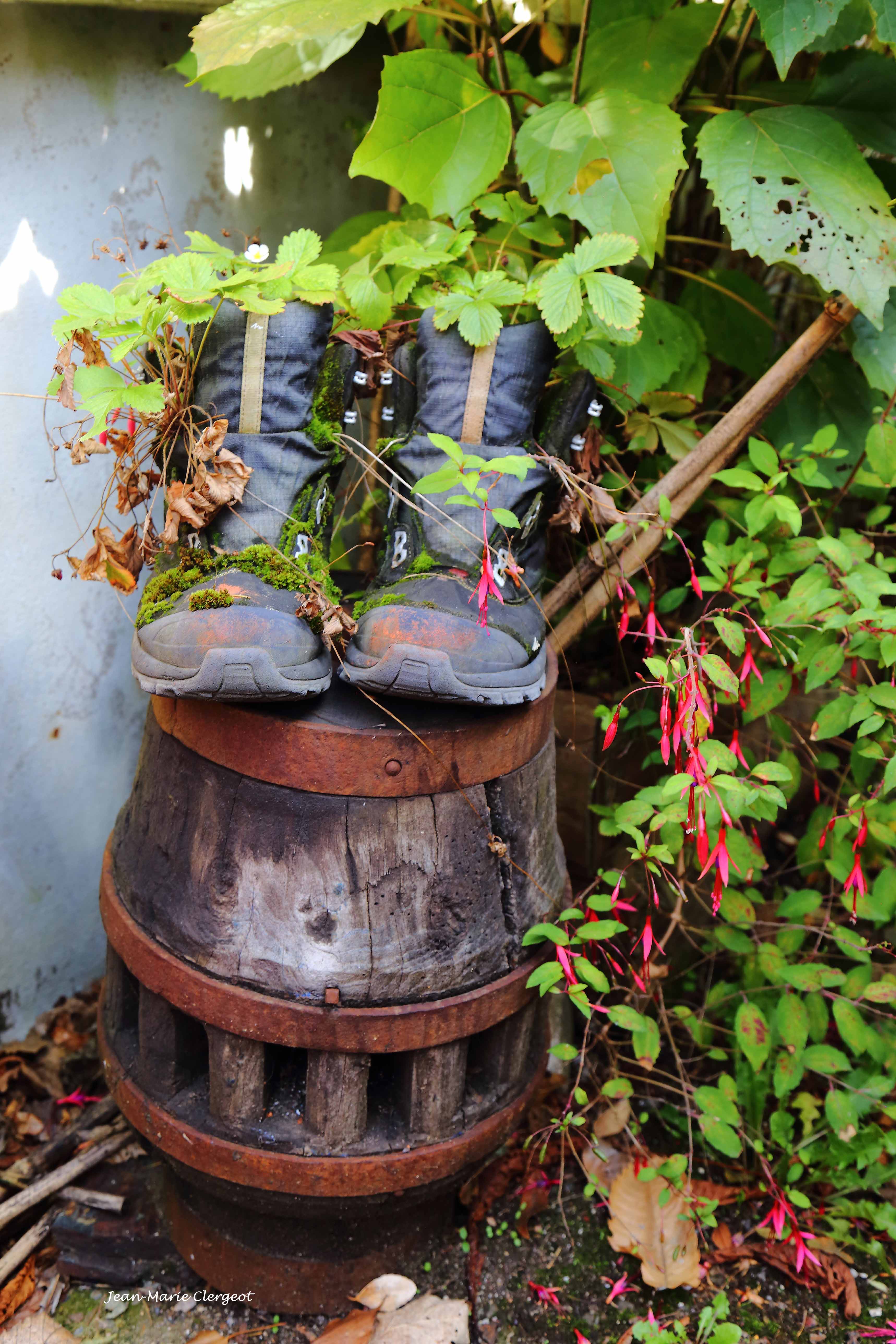 2025 1731 - (La Gacilie) Ca fait longtemps qu'ils attendent...